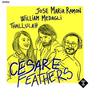 Download track Feathers (Pedro Mercado & Na Te Remix) ThallulahPedro Mercado, Na Te