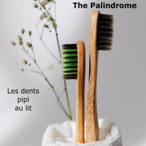 Download track Une Taie D'oreiller Palindrome