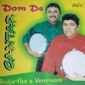 Download track Vou Deixar De Te Amar Beija-Flor E Vem