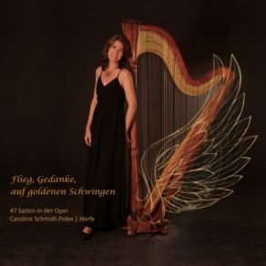 Download track Rigoletto, Akt IIi' La Donna È Mobile (Für Harfe) Caroline Schmidt-Polex