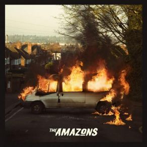 Download track Junk Food Forever The Amazons