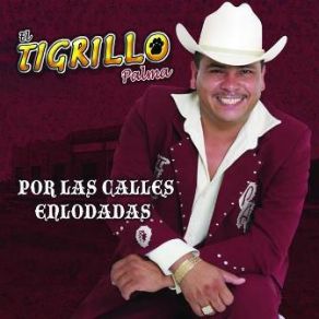 Download track No Puedo Ver Lo Negro El Tigrillo Palma