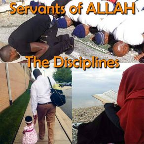 Download track Tolerance Servants Of Allah