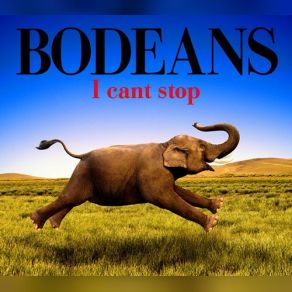 Download track Beg Or Borrow Bodeans