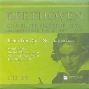 Download track II. Adagio Cantabile Ludwig Van Beethoven