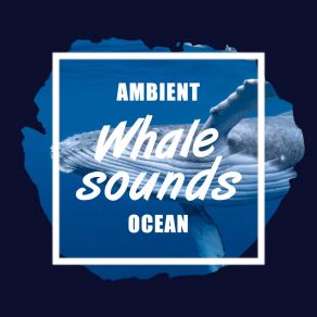 Download track Easy Flowing Whale Sounds