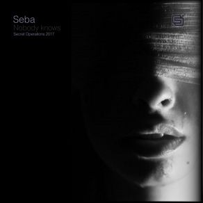 Download track Nobody Knows Seba