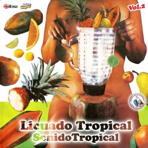 Download track Mosaico Tropical 2: Que Acelerón / El Guiri Guiri / Saca La Mano Antonio / Chivo Florete / Julieta / Hola Que Tal / El Pulpo / El Muñeco / Cuando El Buey Se Entere / Me La Vas A Dar Sonido Tropical