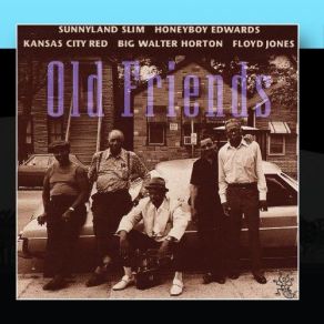 Download track Gamblin' Man Sunnyland Slim