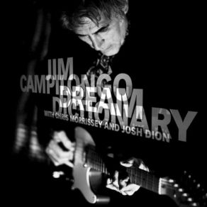 Download track The Past Is Looking Brighter And Brighter Jim Campilongo