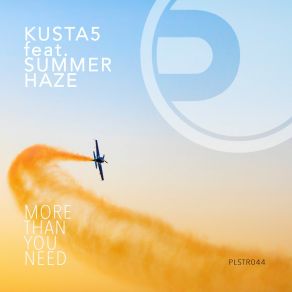 Download track More Than You Need (Neomonkey Remix) Summer HazeKusta5