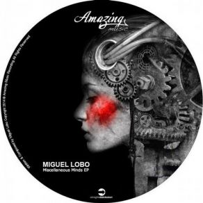 Download track Galaga (Original Mix) Miguel Lobo