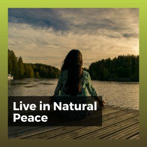 Download track Rivers Flow Freely Nature Sounds Nature Music