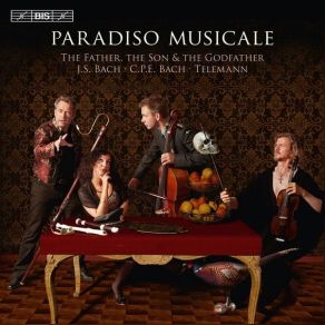 Download track 17. Viola Sonata In G Minor, Wq. 88, H. 510 III. Allegro Assai Paradiso Musicale