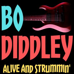 Download track Roadrunner (Live) Bo Diddley