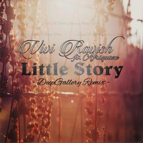 Download track Little Story (DeepGallery Instrumental Mix) Vivi RavishA-Friquaze