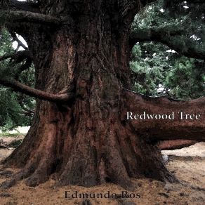 Download track I Talk To The Trees EDMUNDO ROS