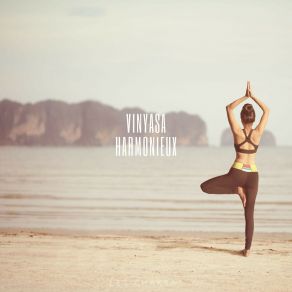 Download track Musique Ambiante De Yoga Les Chakras