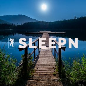 Download track Night Forest Sleep Time SLEEPNDylan Barnes, Rob Davy, Mark Dowling