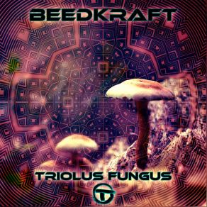 Download track Triolus Fungus Beedkraft