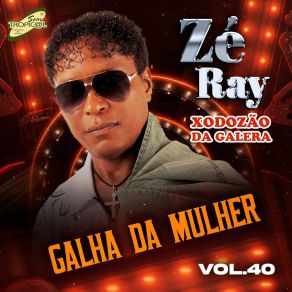 Download track Vou Cuidar De Você Zé Ray