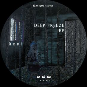 Download track Echoes From The Void (Original Mix) Andi