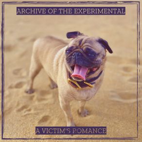 Download track Skinhead A Victim's Romance