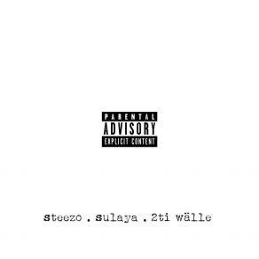 Download track Scar Tissue Sulaya