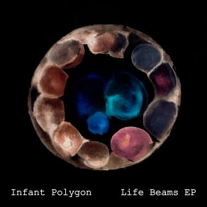 Download track The Chaotic Cells Infant Polygon