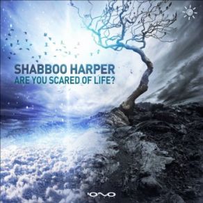 Download track Are You Scared Of Life? (Original Mix) Shabboo Harper