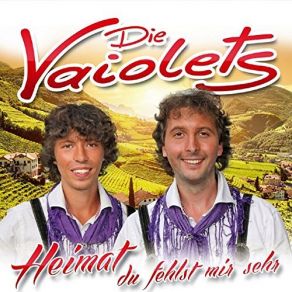 Download track Sommerträume Vom Strand Die Vaiolets