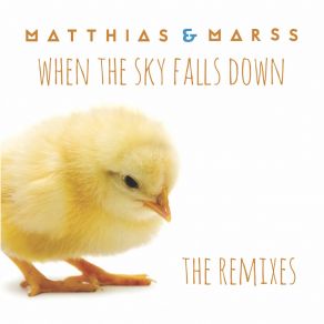 Download track When The Sky Falls Down (People Theatre's Cloudy Mix) Marss