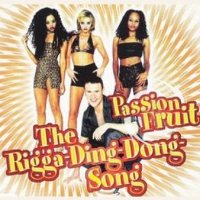 Download track The Rigga-Ding-Dong-Song (Radio Mix) Passion FruitRadio Mix