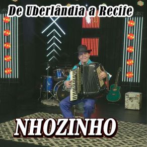 Download track Sapecando A Sanfona NHOZINHO