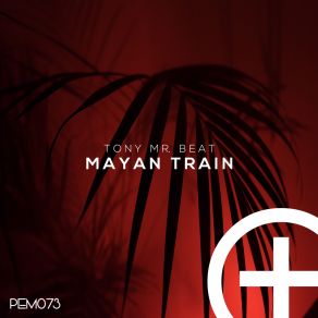 Download track Maya Train Tony Mr. Beat