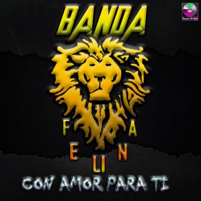 Download track Son De La Rabia Banda Felina