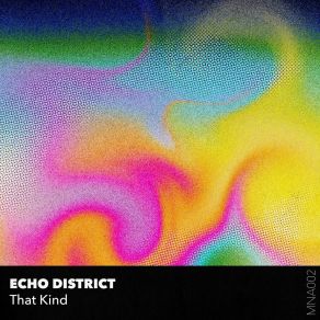 Download track VIP House (Radio Edit) Echo District