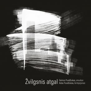 Download track Introdukcija Ir Tokata Smuikui Solo Aidas Puodziukas, Dainius Puodžiukas