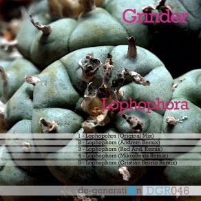 Download track Lophophora (Original Mix) The Grinder