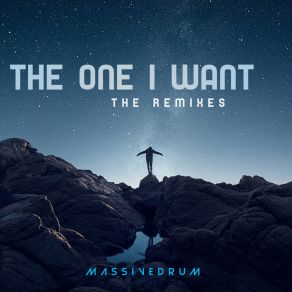 Download track The One I Want (DJ Maddox Remix; The Remixes) MassivedrumDJ Maddox, Remixes