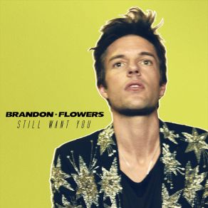 Download track Still Want You Brandon Flowers