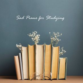 Download track Quiet Evening Exam Study Music Guys