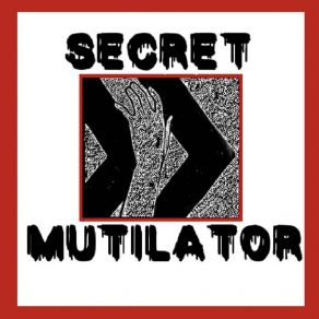 Download track Life Sanitizer Secret Mutilator