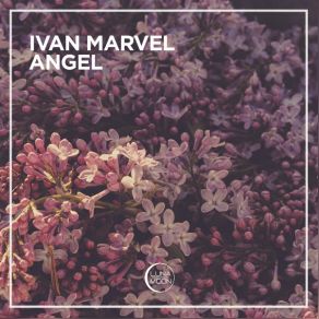 Download track Angel Ivan Marvel