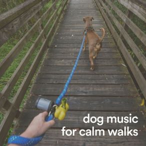 Download track Soft Foot Prints Dog Music Therapy