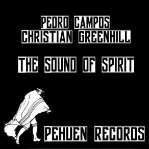 Download track Despegar (Original Mix) Christian Greenhill