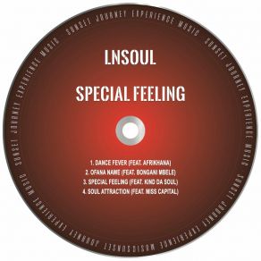 Download track Soul Attraction LnSoul