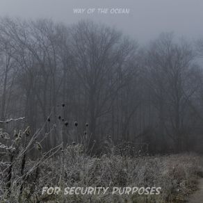 Download track Interpretations Way Of The Ocean