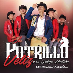 Download track El 24 El Potrillo Veliz Y Su Galope Norteño