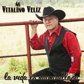 Download track La Vida Es Marravillosa Vitalino Veliz